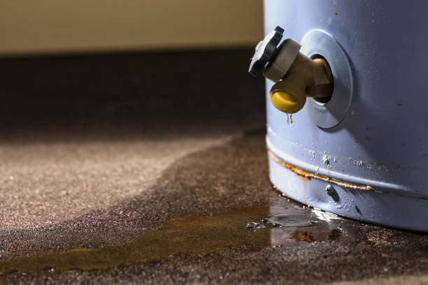 Best Mold removal after water damage  in Los Osos, CA