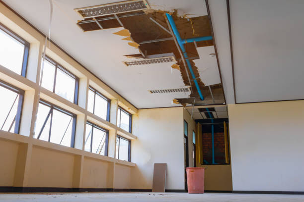 Best Water damage contractors near me  in Los Osos, CA