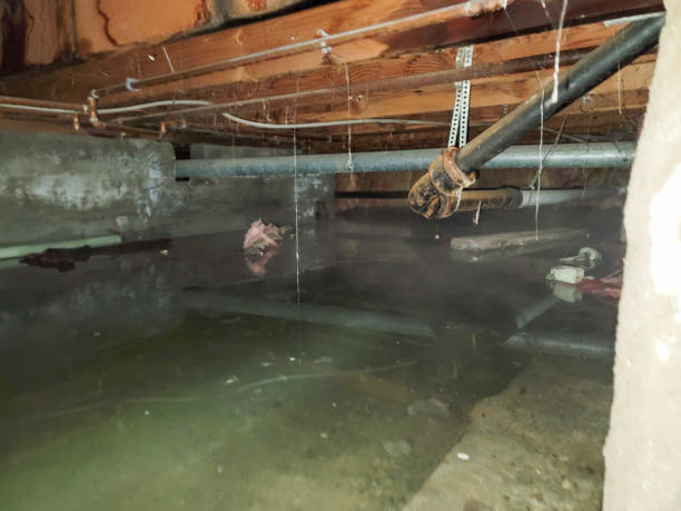 Best Flood damage cleanup  in Los Osos, CA