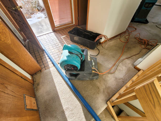 Best Water damage restoration experts  in Los Osos, CA