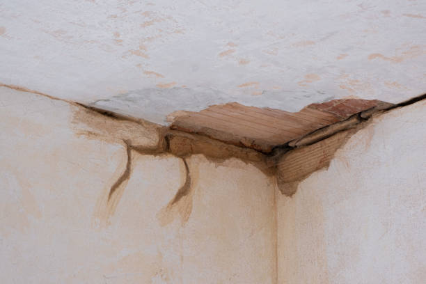 Best Residential water damage restoration  in Los Osos, CA