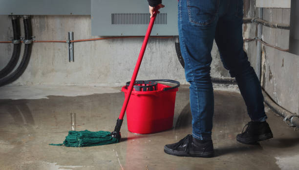  Los Osos, CA Water damage restoration Pros