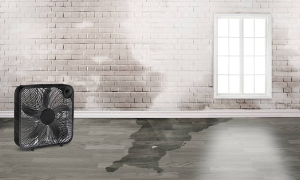 Best Water damage restoration near me  in Los Osos, CA
