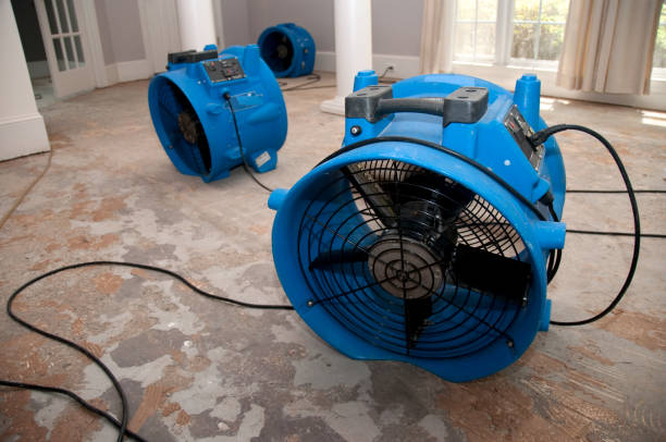 Best Professional water damage repair  in Los Osos, CA