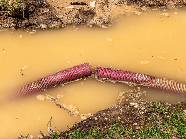 Best 24-hour water damage restoration  in Los Osos, CA