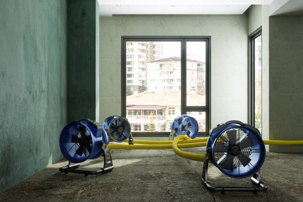 Best Carpet water damage restoration  in Los Osos, CA